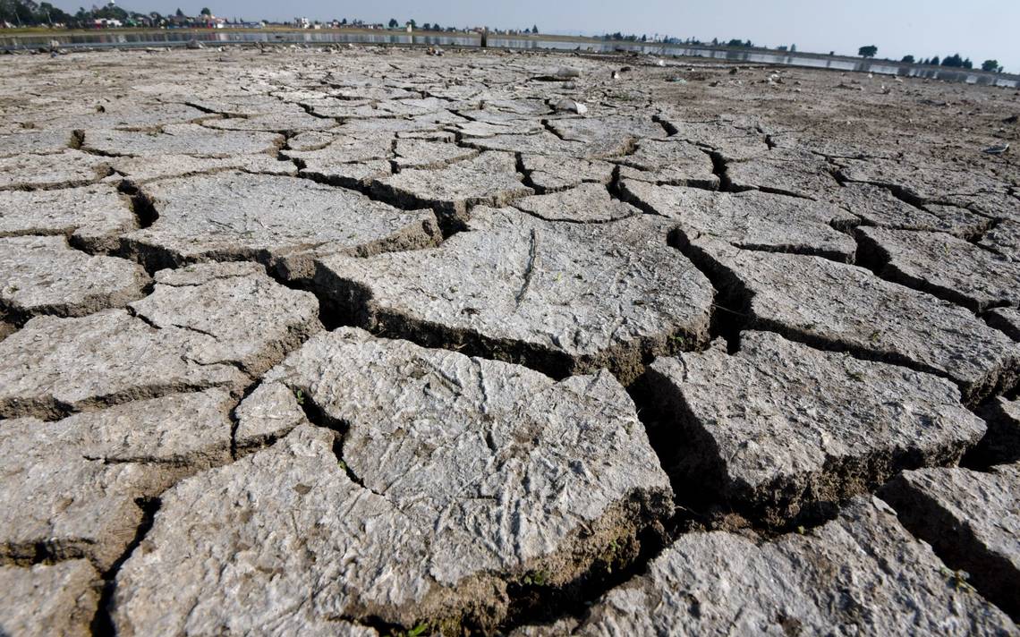 NASA alerta que un 85% del territorio mexicano está en sequía - El Sol de  México | Noticias, Deportes, Gossip, Columnas